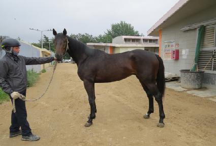 ������ ����