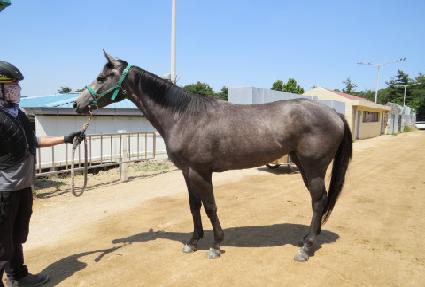 ����Ʈõ�� ����