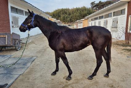 ���̺���Ʈ ����