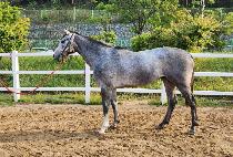 ����ū��� (JEONGMUNKEUNDAEBAG) ����