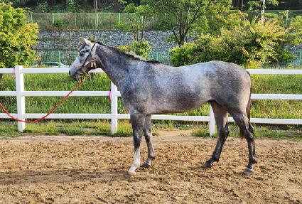 ����ū��� ����