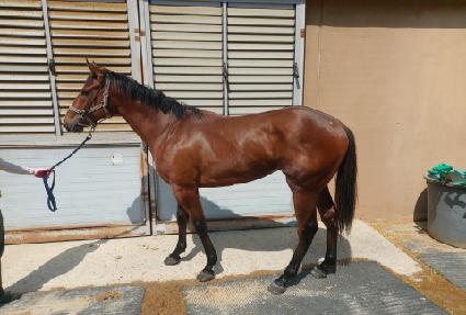 ��Ÿ���� ����