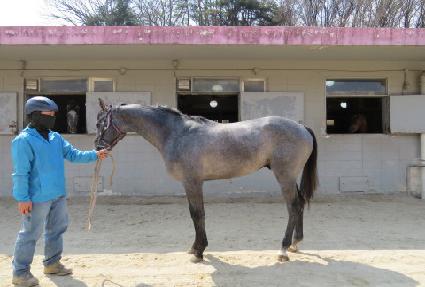 �Ƹ𽺽�Ÿ ����