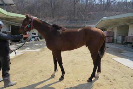 �������� ����