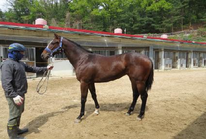 ����ǳ��� ����