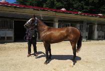 ��¿������� (RAON EMPRESS) ����