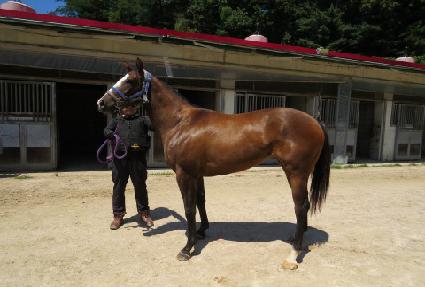 ��¿������� ����