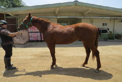 �ӴϹ��� ����