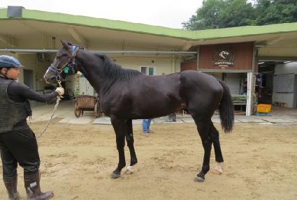 �ٶ����� ����