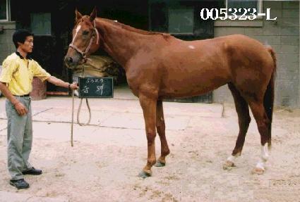 �ݸ� ����