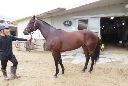 ���ڽ�Ÿ ����