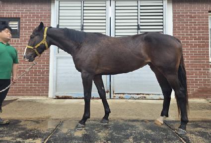 ����ũ��� ����