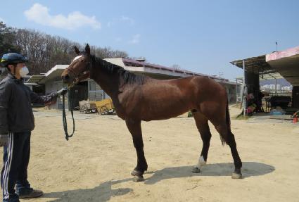 �׸���Ŷ ����