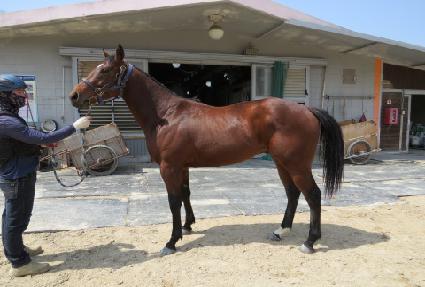 ���÷��̼� ����