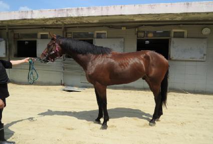 ��ī�Ϸ����� ����