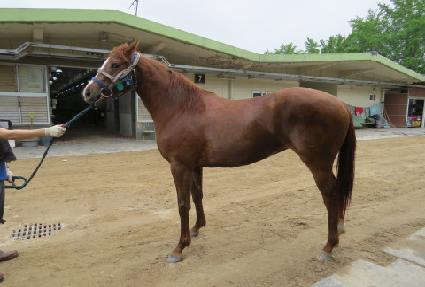 ����Ÿ�� ����