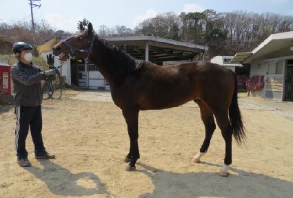 ���������� ����