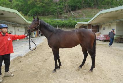 ����α¸� ����