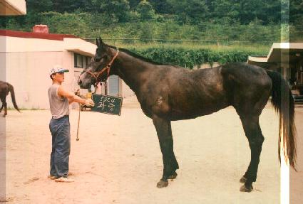 �¶� ����