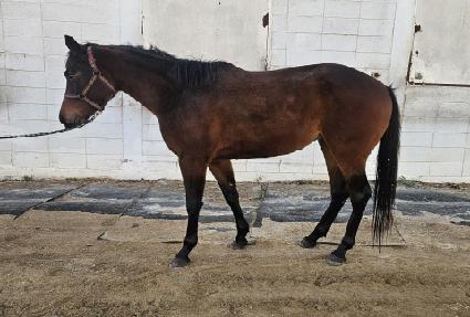 ��Ʈ��� ����