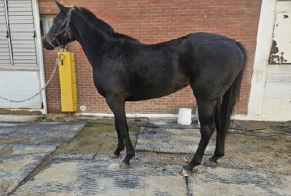 �������� ����