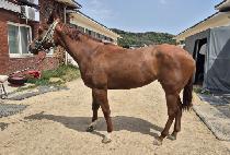 ���̺�Ƽ (HIGH BEAUTY) ����