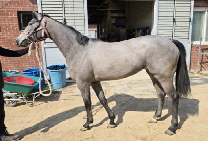 ũ�����о��� ����