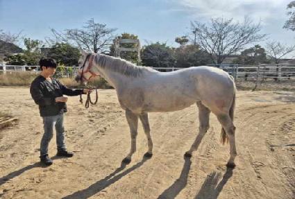 ���̺�Ƽ ����