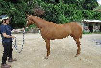 ��ƼǮ�� (BEAUTIFULLY) ����