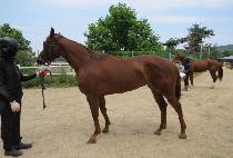 ��������Ʈ (FOREVER HIT) ����