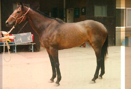 ���� ����