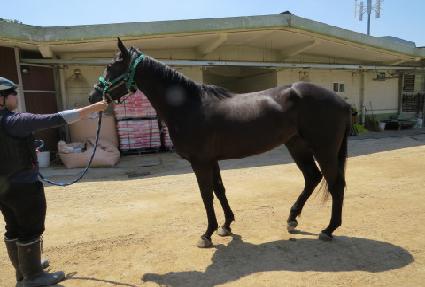 ����Ʈ�ؼ� ����