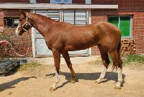 ����Ʈ���� (GANGSEO TREND) ����