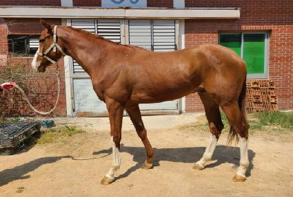 ����Ʈ���� ����