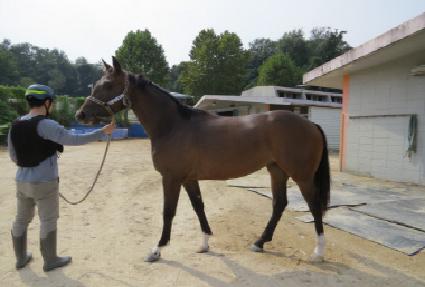 �������� ����