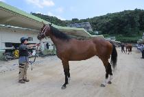 �ݹ̽�ī�� (CALL ME SKY) ����