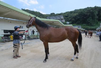 �ݹ̽�ī�� ����