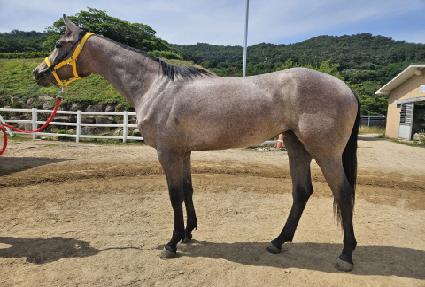 ���ͽ��� ����