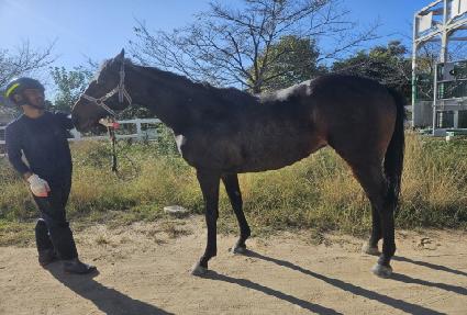 ���ν��� ����