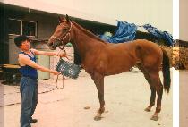 ��õ (BEOM CHEON) ����