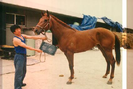 ��õ ����