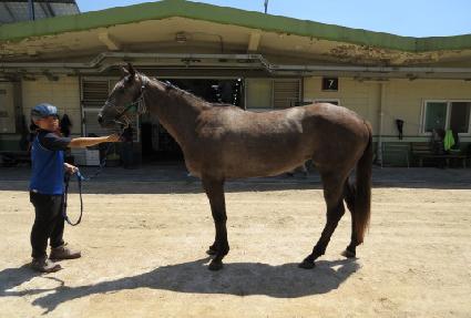 ��Ʈ������ ����