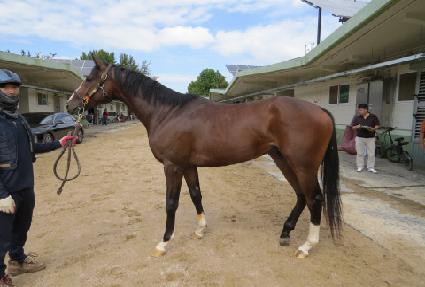 Ÿ�̰Ÿ�ġ ����