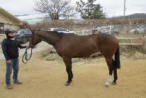 ����Ǯ�轺 (WONDERFUL SOCKS) ����