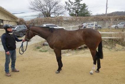 ����Ǯ�轺 ����