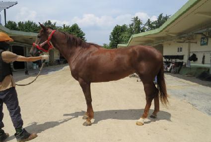 ������� ����