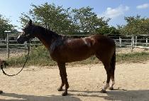 �׷���Ʈ�Ŀ� (GREAT POWER) ����