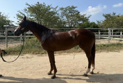 �׷���Ʈ�Ŀ� ����