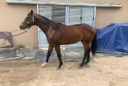 �������� ����