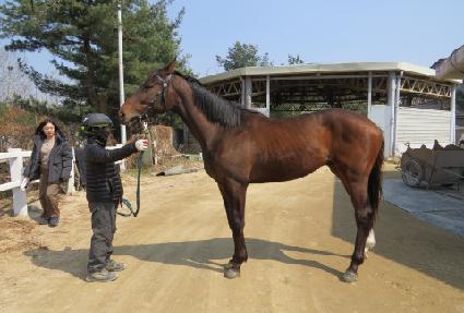 ������ô ����